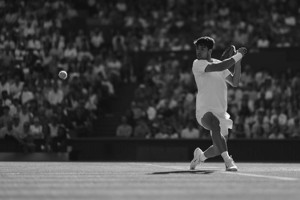 Carlos Alcaraz - Focus