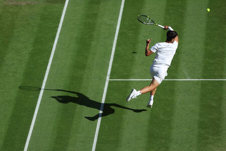 Carlos Alcaraz - Swoosh Carlos Alcaraz - Swoosh