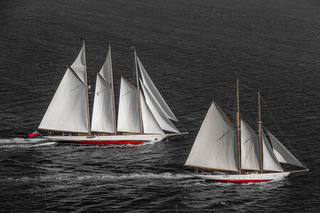 Adix en Sylvana - 2 kleuren