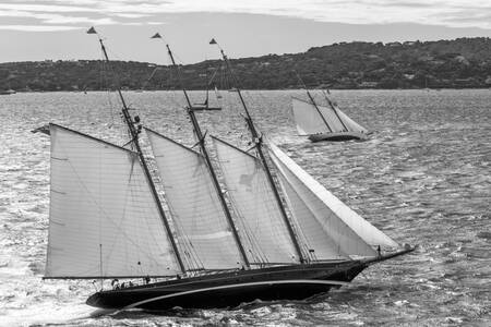 Shenandoah Shenandoah