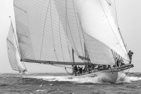 Voiles de Saint-Tropez 2015