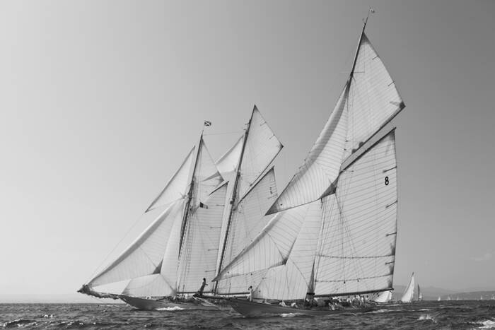 Le vele di Saint-Tropez Le vele di Saint-Tropez