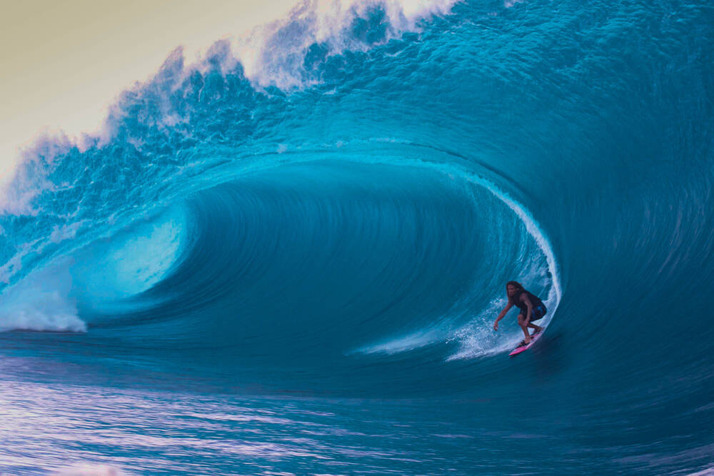 N'abandonnez pas le combat