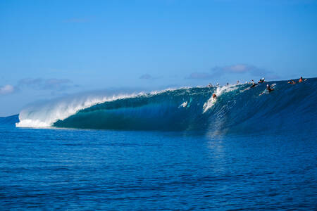 Ga groot of ga naar huis Ga groot of ga naar huis