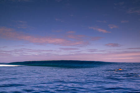 Dromen op een rij Dromen op een rij