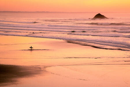 Roze vriend Roze vriend