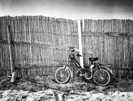 Tableau Les vacances du Peugeot 103 SP Tableau Les vacances du Peugeot 103 SP