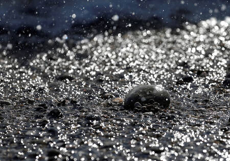 Un galet dans la tourmente Un galet dans la tourmente