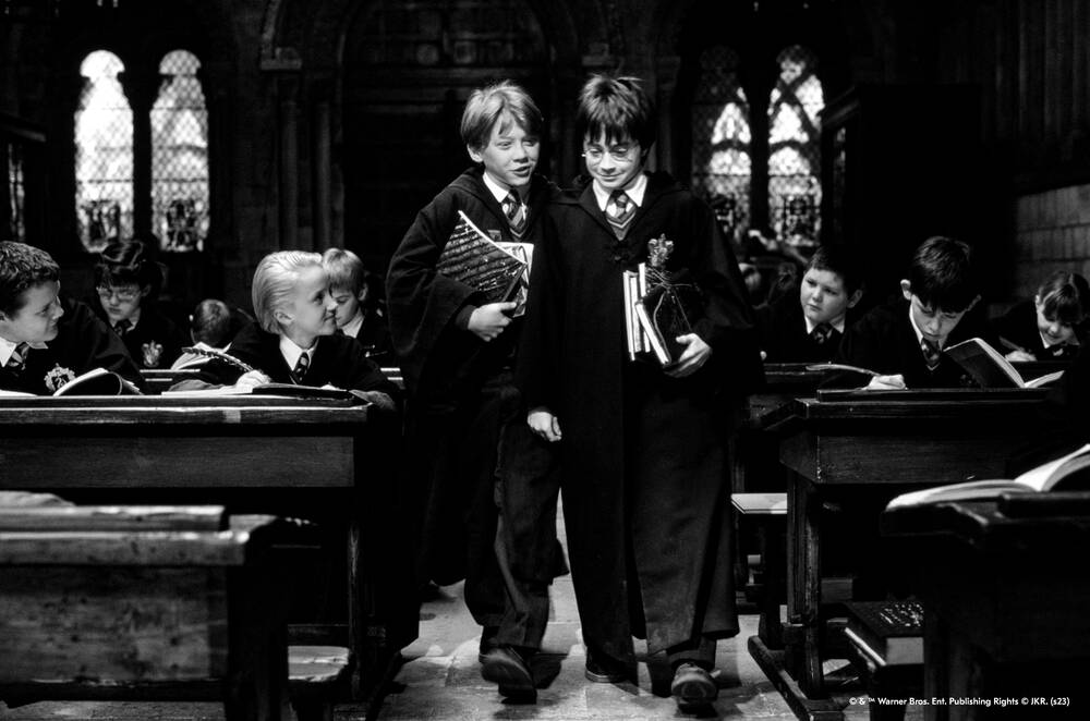 Harry and Ron with their study books