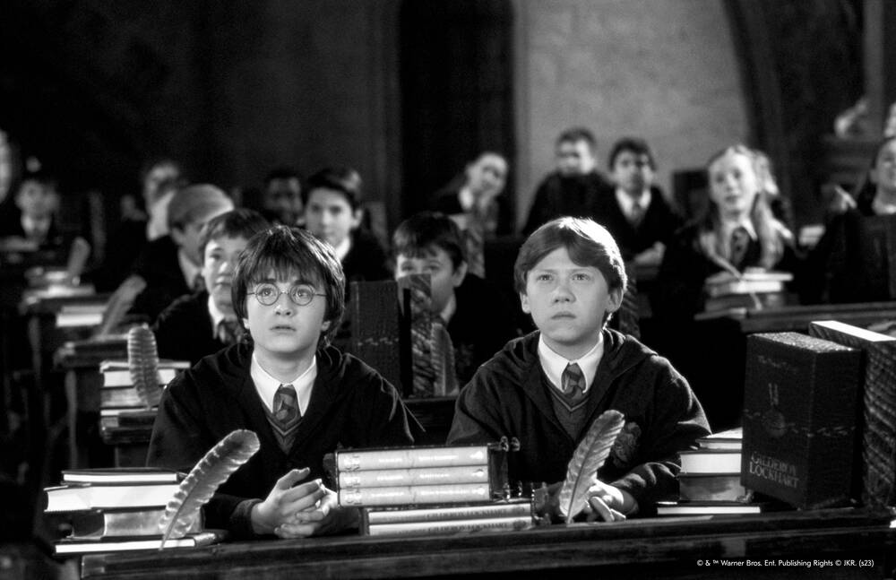 Harry Potter and Ron during a classroom
