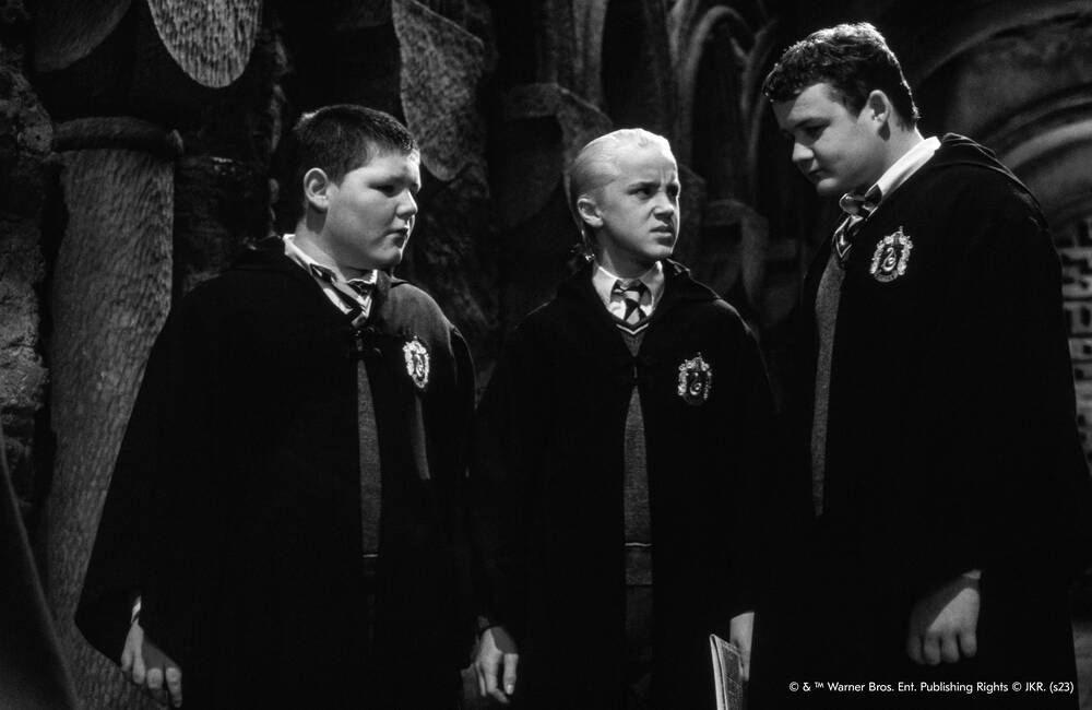 Vincent Crabbe - Draco - Gregory Goyle