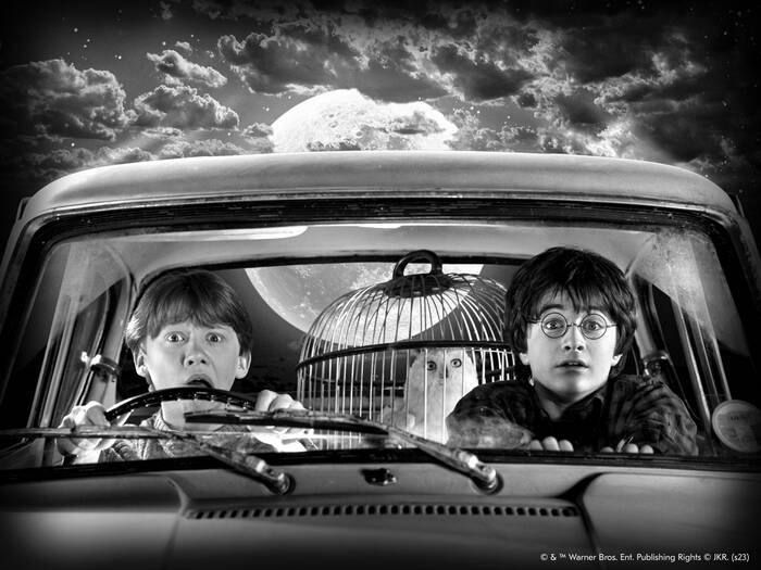 Weasley family's flying car Weasley family's flying car