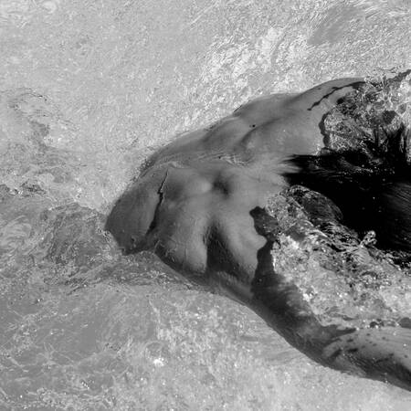 Culturismo Acuático Culturismo Acuático