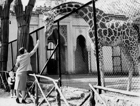 Dierentuin in de Publieke Tuinen