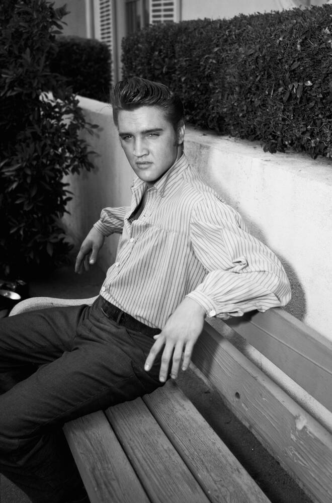 Cuadro y póster Elvis Presley - Compra y venta