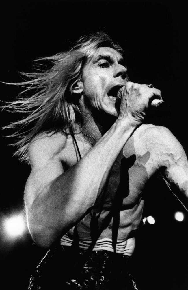 Iggy Pop in concerto nei Paesi Bassi - 1994