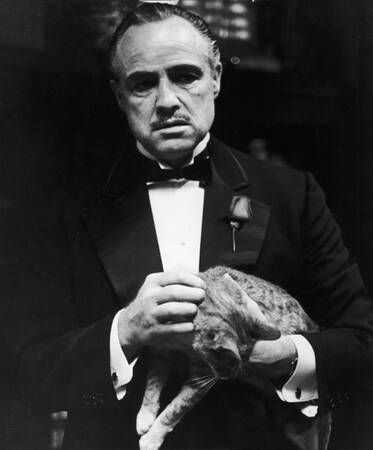 Marlon Brando - De Godfather in 1972