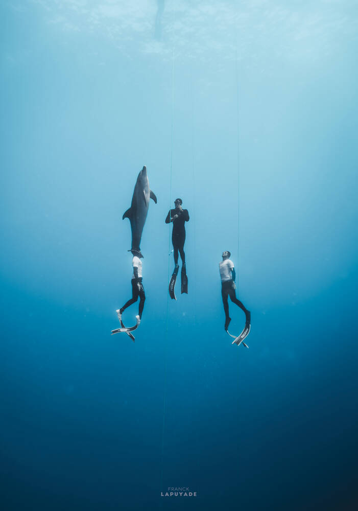 Perfecte gemeenschap