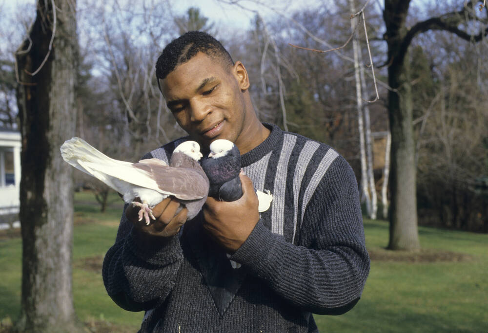 Mike Tyson portrait with pigeons 1985