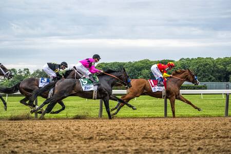 Mike Smith et Justify - Belmont Park 2018