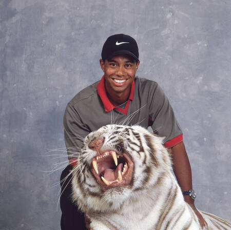 Tiger Woods Golf 1998