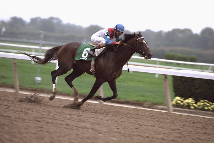 Cigar wins the Jockey Club Gold Cup in 1995 Cigar wins the Jockey Club Gold Cup in 1995
