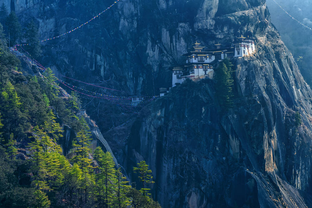 Tiger Nest