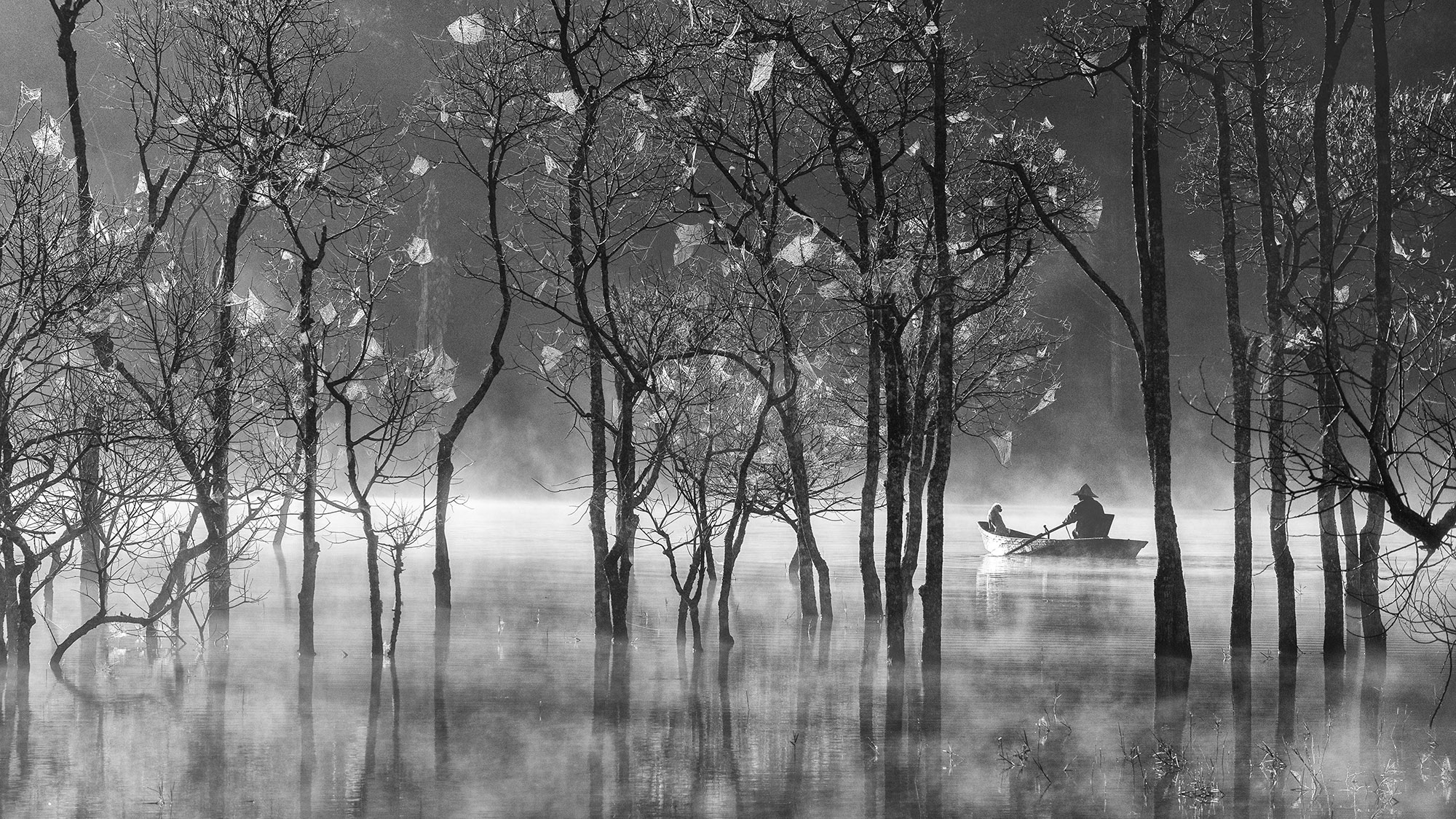 Hoang long Ly