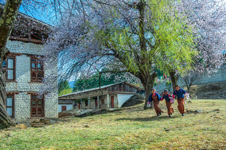Bhutanese students Canvas Print Bhutanese students Canvas Print