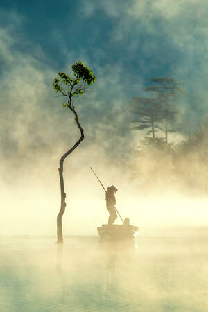 Nebbia dorata Nebbia dorata