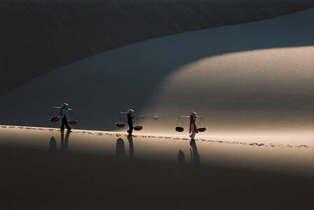 Ombres et lumières 1998