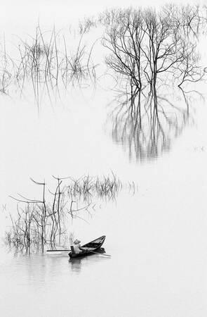 Pittura naturalistica Pittura naturalistica