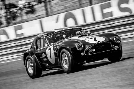 COBRA SHELBY LE MANS CLASSIC COBRA SHELBY LE MANS CLASSIC
