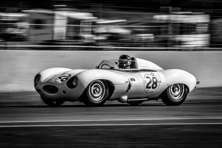 JAGUAR Type D LE MANS JAGUAR Type D LE MANS