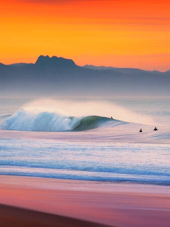 Charmed Wave - Portrait Charmed Wave - Portrait