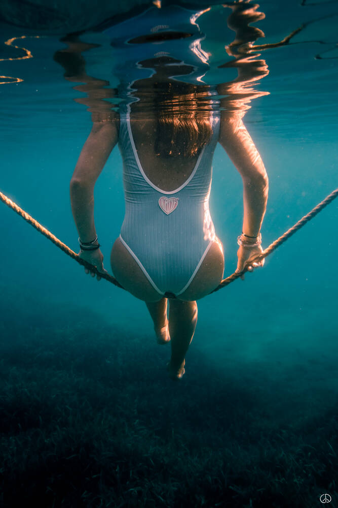 Zwieren tussen hemel en zee miniatuur