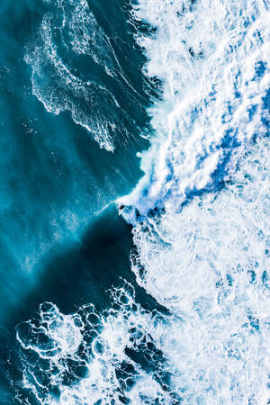 Crossing The Line 3 Crossing The Line 3