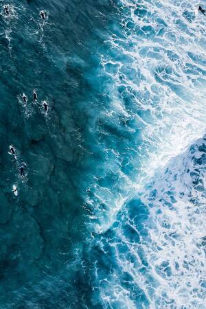 Crossing The Line 4 Crossing The Line 4