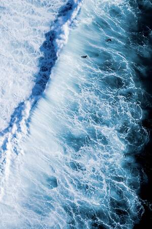 Crossing the Line Crossing the Line