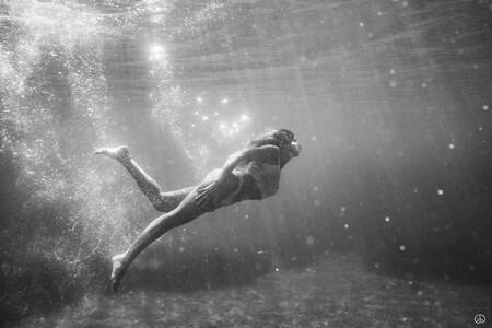 Emergenz 6 Emergenz 6