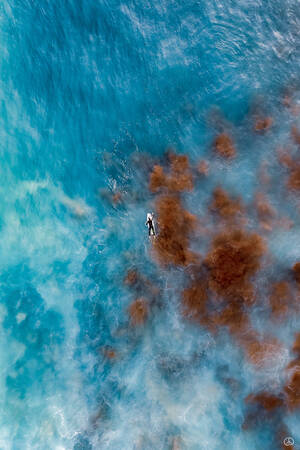 Ocean Painting Ocean Painting