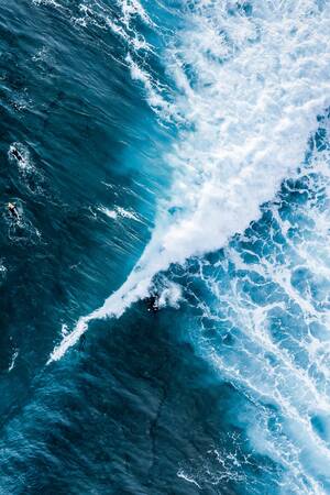 Transverse Line Transverse Line