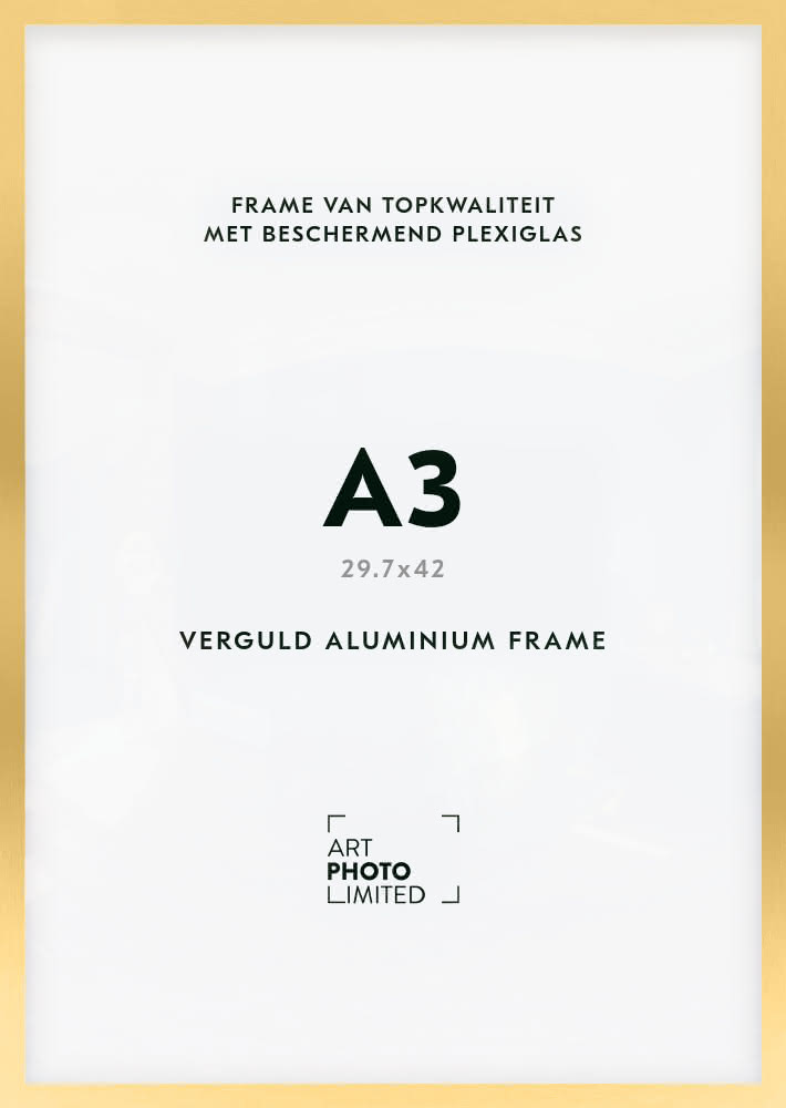 Aluminium lijst Goud A3