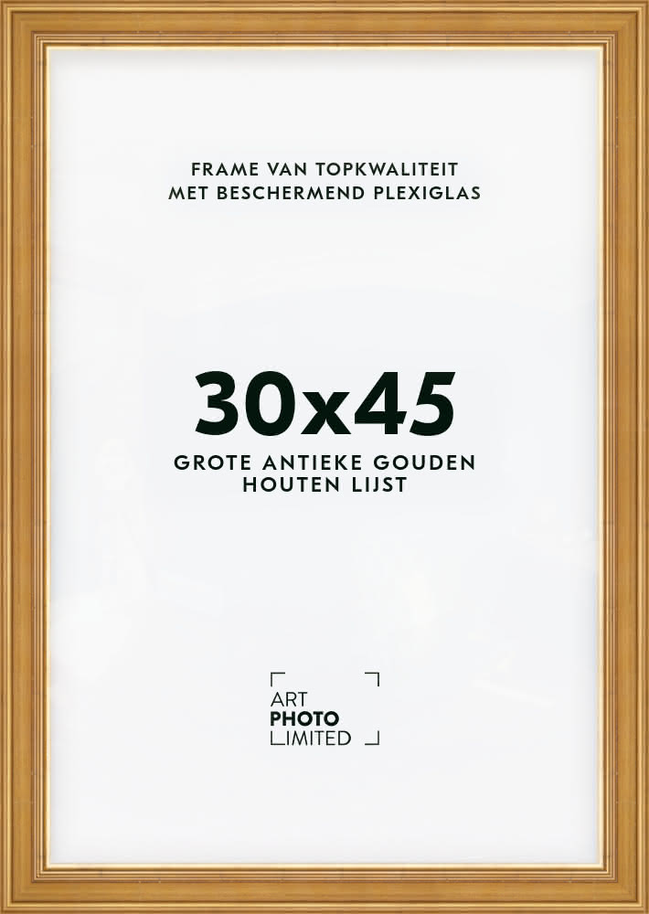 Brede Houten lijst Goudkleurig Goud 30x45cm