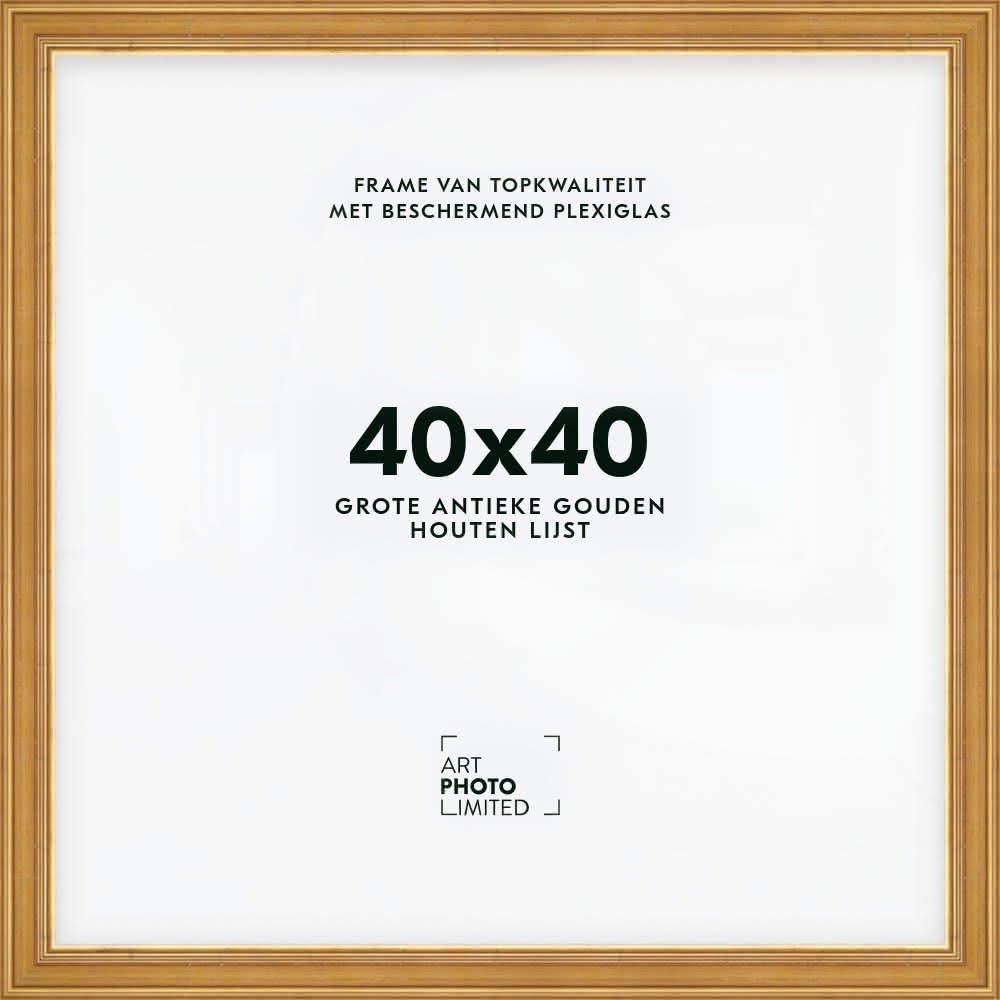 Brede Houten lijst Goudkleurig Goud 40x40cm