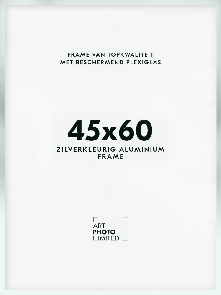 Aluminium lijst Zilverkleurige 45x60cm