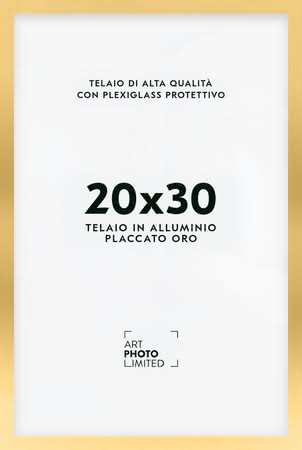 Oro Cornice in alluminio 20x30cm Oro Cornice in alluminio 20x30cm