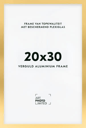 Aluminium lijst Goud 20x30cm