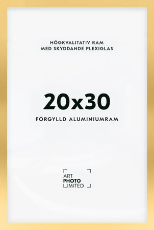 Förgylld Aluminiumram 20x30cm Förgylld Aluminiumram 20x30cm