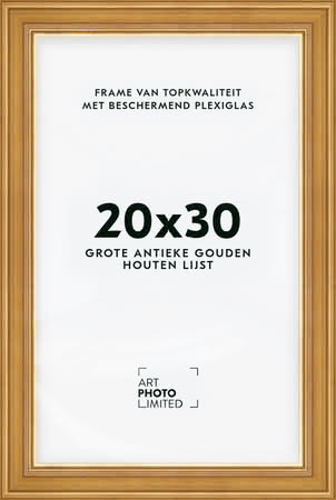 Brede Houten lijst Goudkleurig Goud 20x30cm